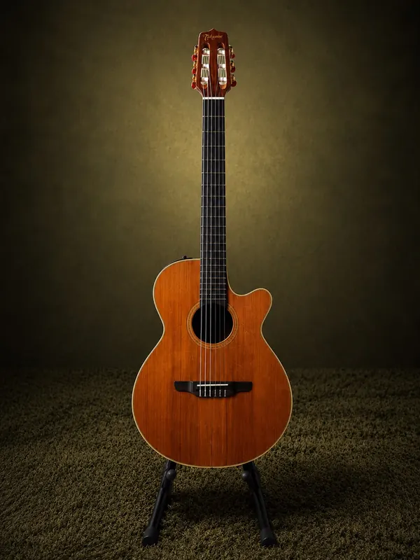 Takamine GC5CE — clássico eletroacústico cutaway, nylon