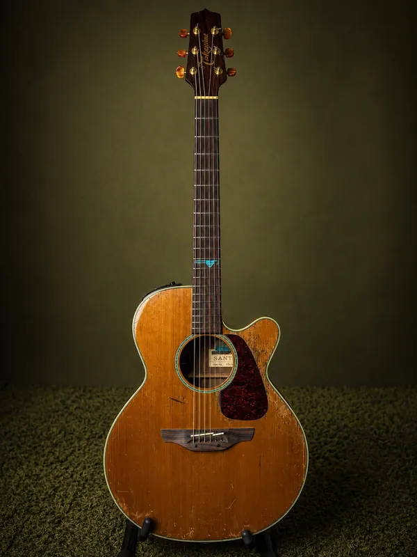 Takamine EF340SC "relic" — aço, cutaway, escudo tartaruga